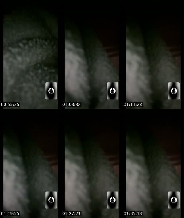 TikTok live: Dare me by @lovehanna_03