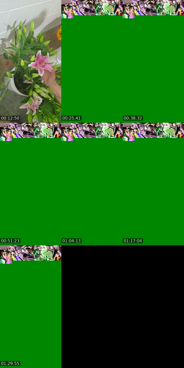 TikTok live: baby boy arrangements by @sandracampos4