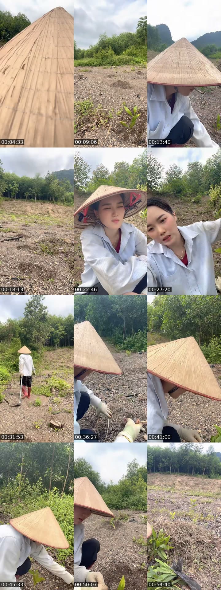 @huong_linh97 TikTok live stream