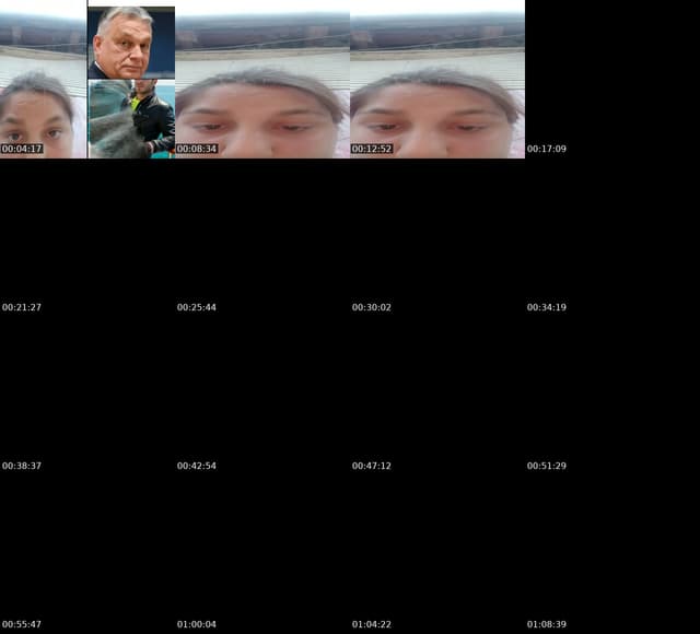 @vivien.matisz TikTok live from 2026-06-03