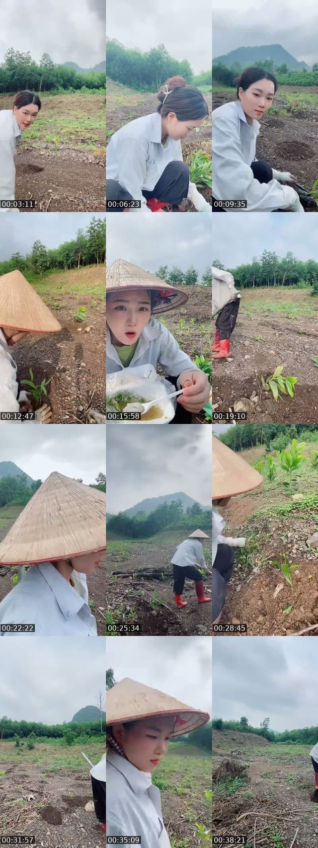 @huong_linh97 TikTok live from 2026-06-03