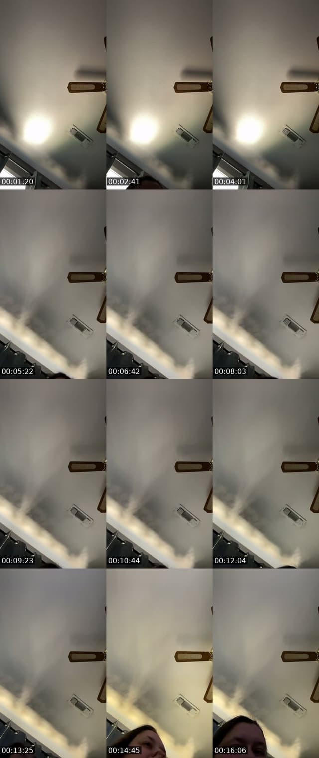 @arrandall19 TikTok live from 2026-06-04