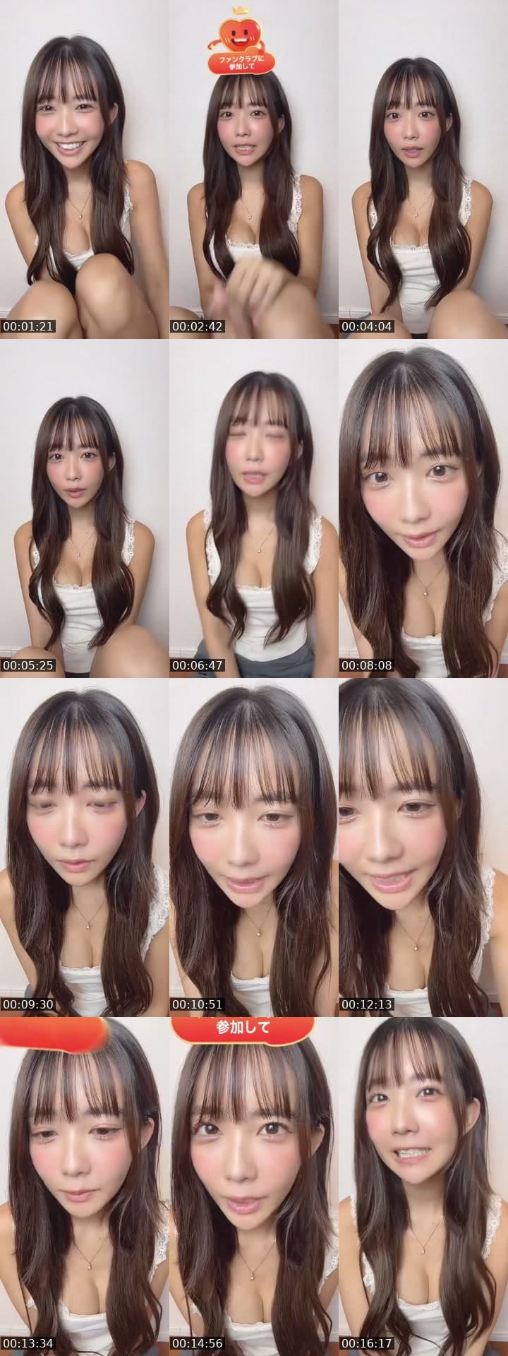 こんばんわん