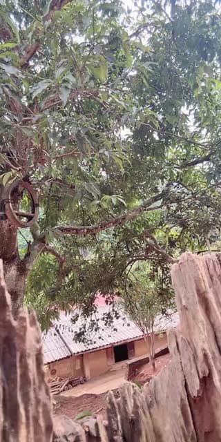 @g_khajeerat TikTok live stream