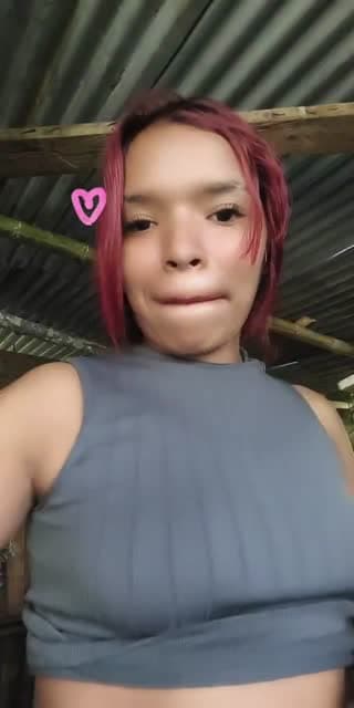 @lachirigallardo TikTok live from 2026-05-11