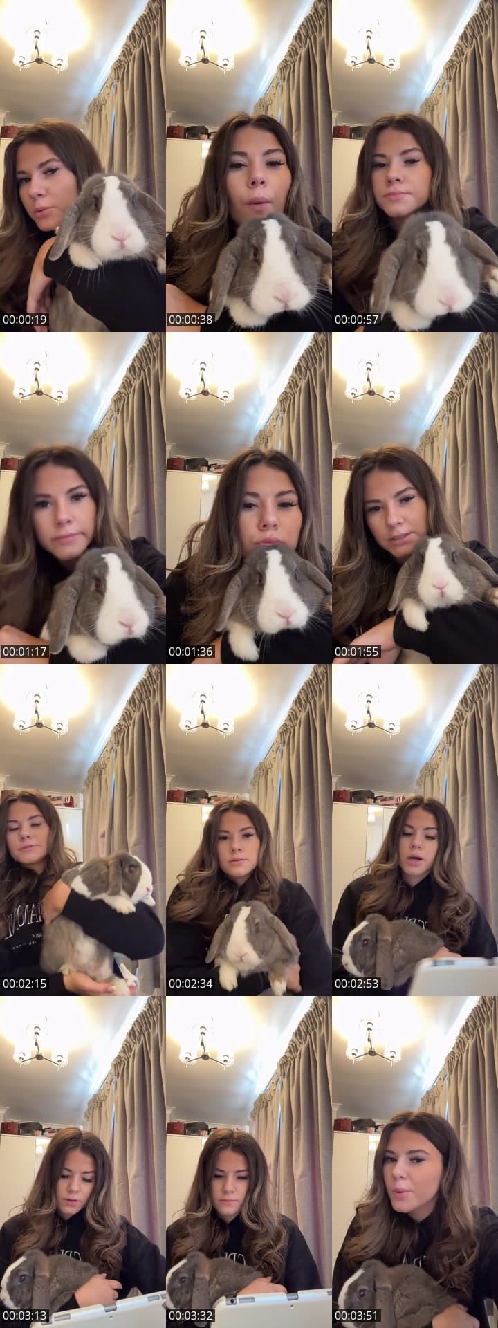 @avawwalsh TikTok live stream