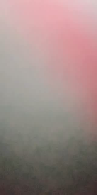 @lleim3 TikTok live stream