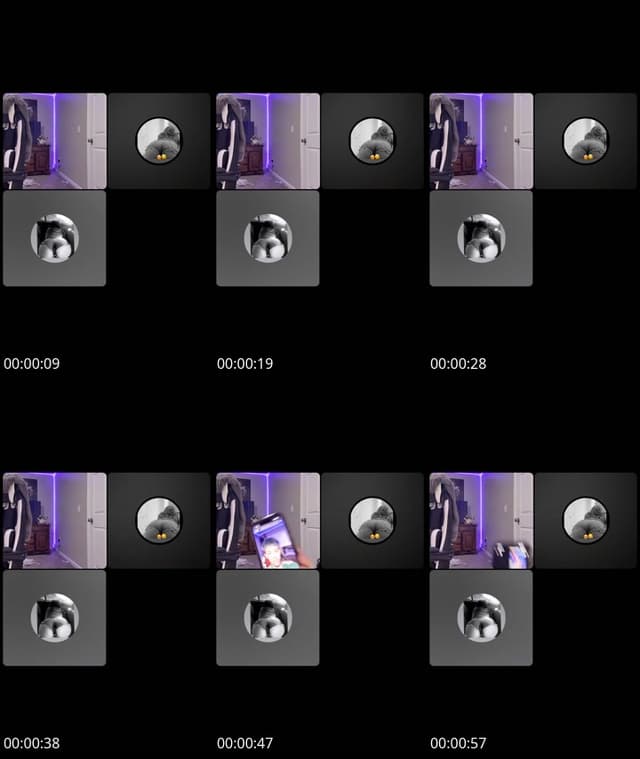 @syefanymartinez TikTok live from 2026-05-12