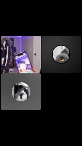 @syefanymartinez TikTok live from 2026-05-12