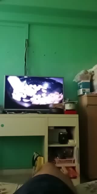 @bearbear11221 TikTok live stream
