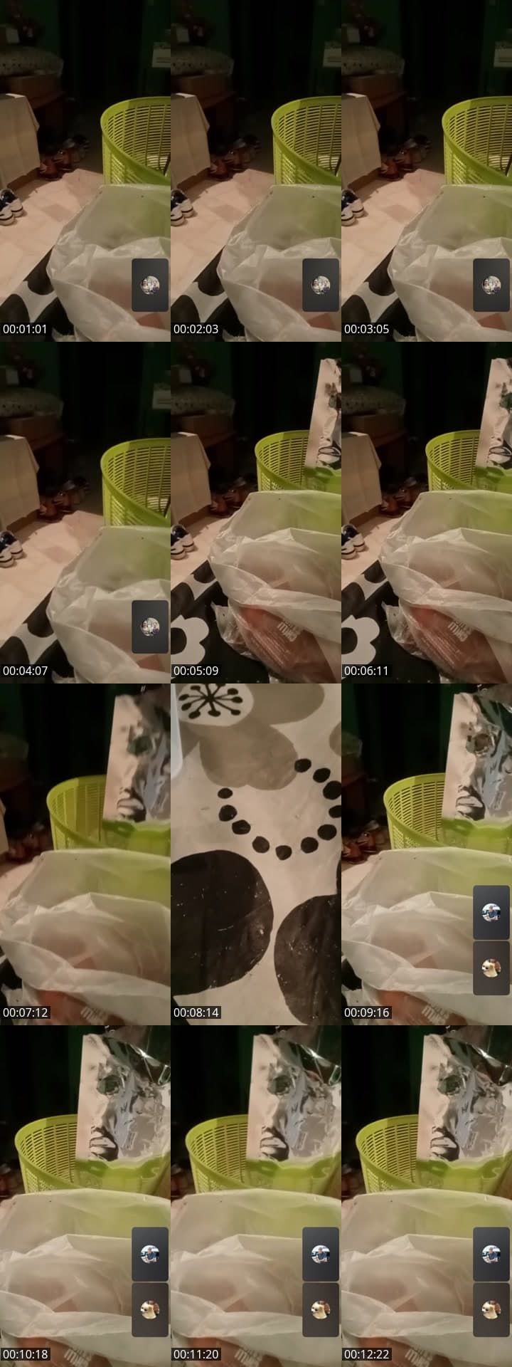 @bearbear11221 TikTok live stream