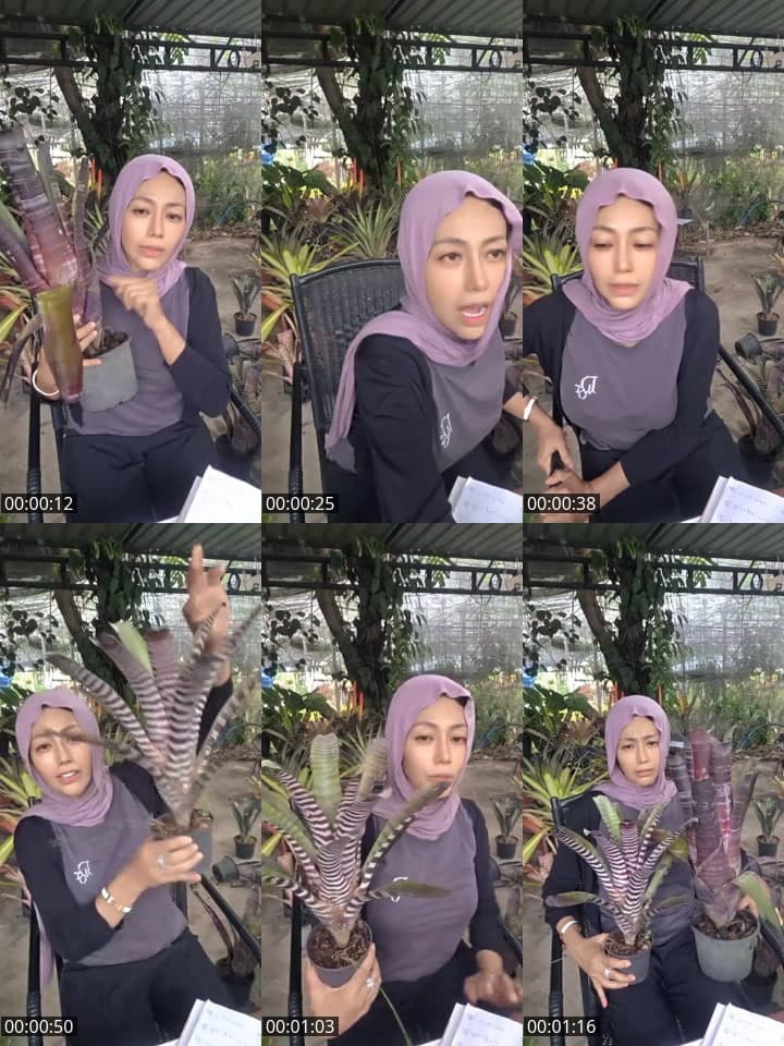 01 dua 622 666 9