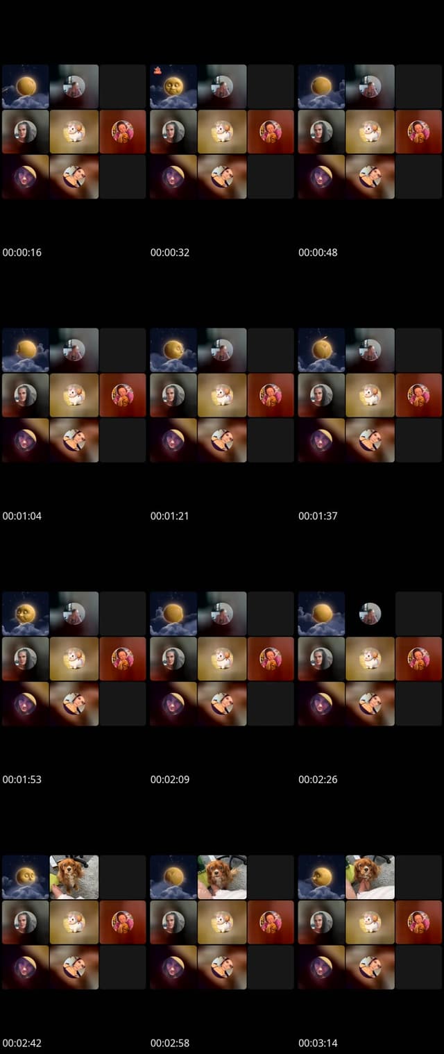 @hampsterbackup TikTok live from 2026-05-12