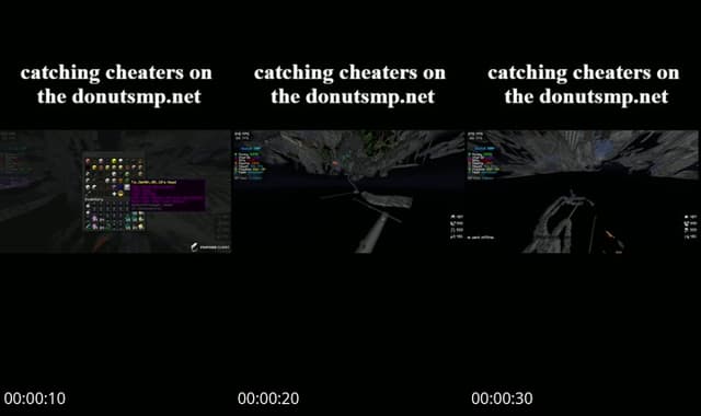 TikTok live: catching cheaters donutsmp by @pastagamer08