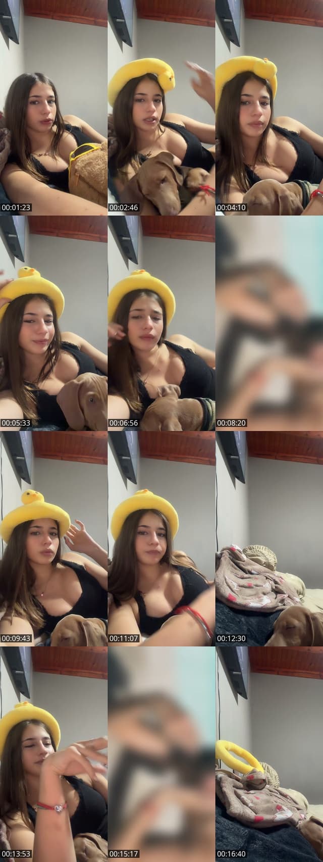 TikTok live: Díganle feliz cumple by @giulifernandeez