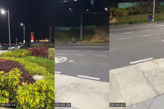 TikTok live: PALMAS 🌴🌴 by @medallo.speed2