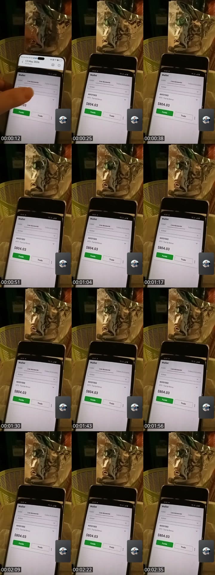 @bearbear11221 TikTok live stream
