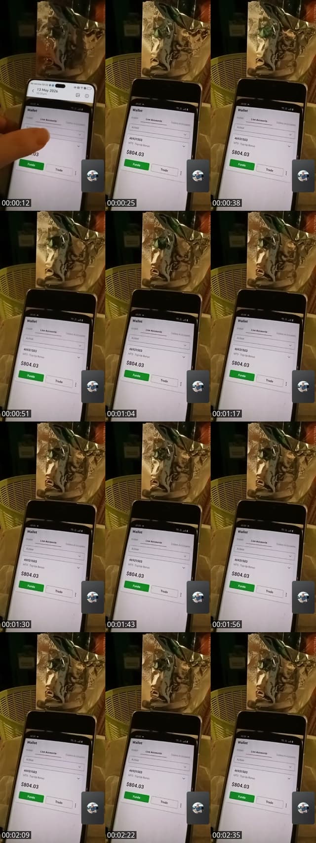 @bearbear11221 TikTok live from 2026-05-13