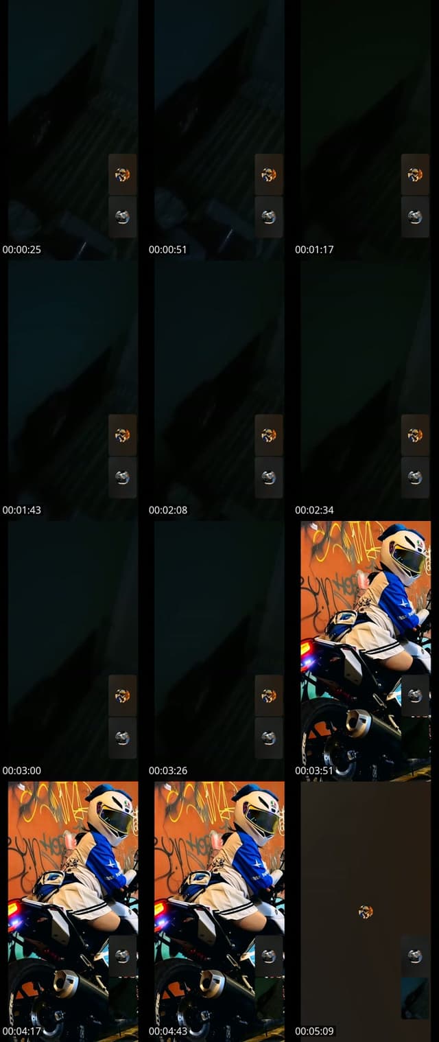 @bearbear11221 TikTok live from 2026-05-14