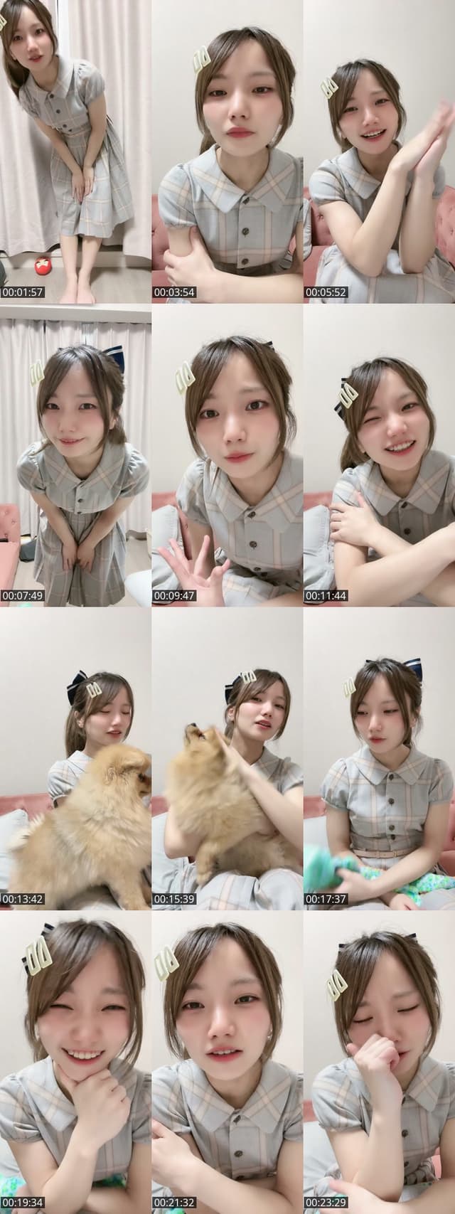 TikTok live: いっぬ！ by @omochi00mochimochi