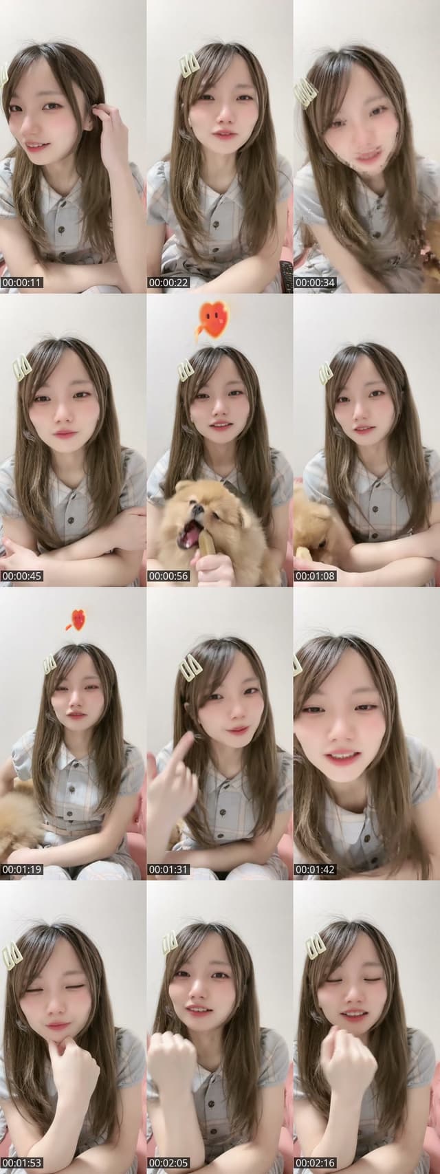TikTok live: いっぬ！ by @omochi00mochimochi