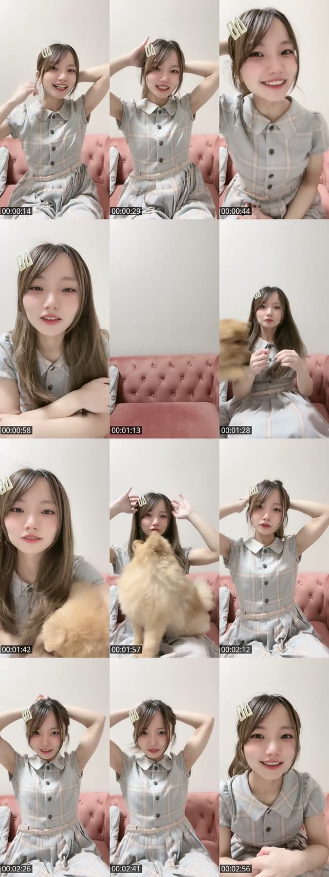 TikTok live: いっぬ！ by @omochi00mochimochi