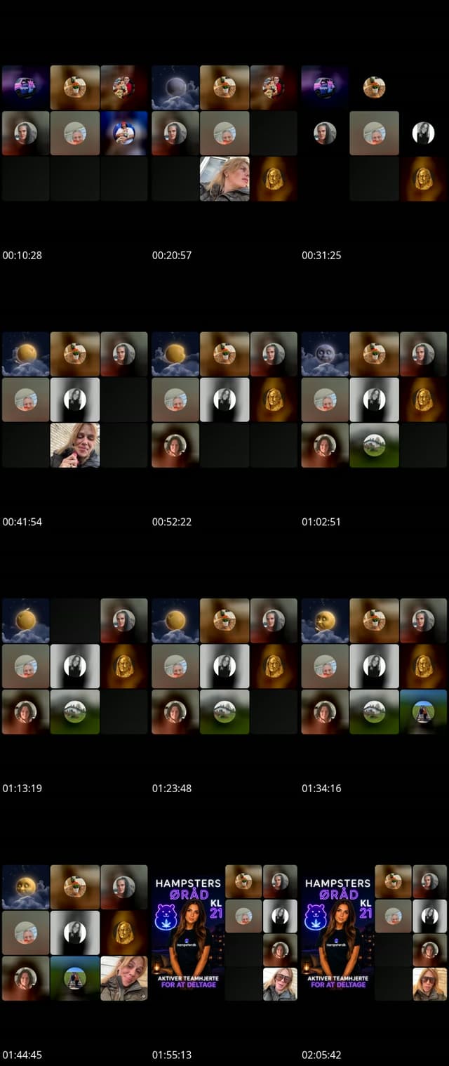 @hampsterbackup TikTok live from 2026-05-14
