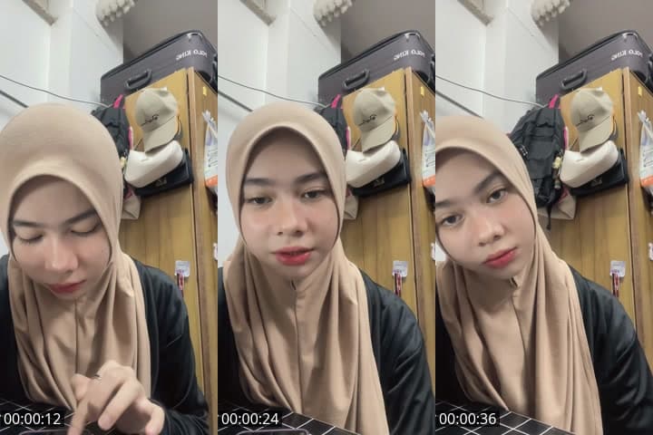 kucing takde kucing kat rumah