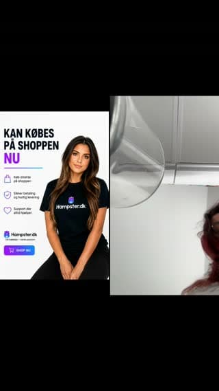 @hampsterbackup TikTok live stream