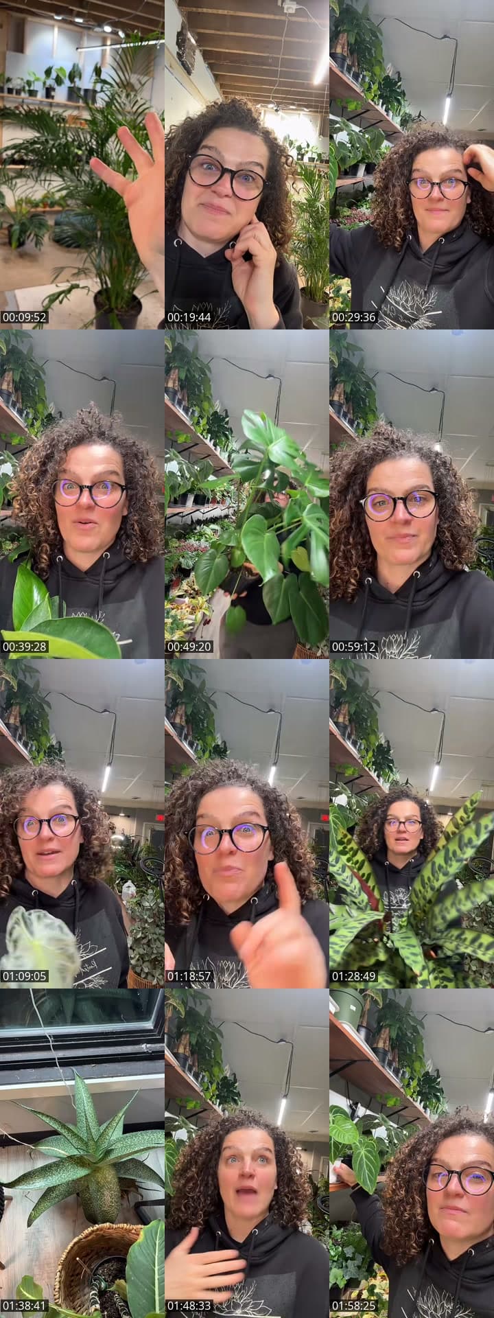 @rootedplantshop TikTok live stream