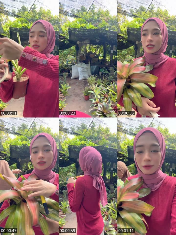 @anna.comel40 TikTok live stream