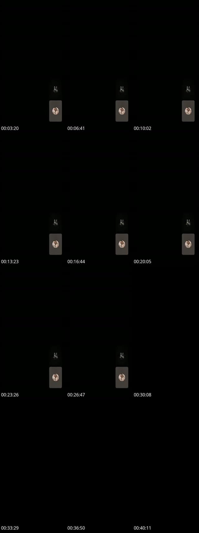 @bearbear11221 TikTok live from 2026-05-15