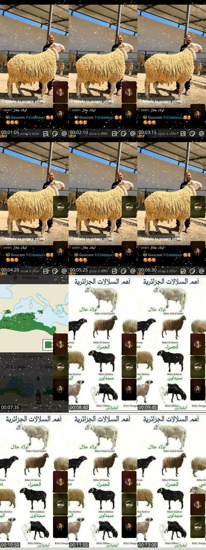 @goucem6 TikTok live stream