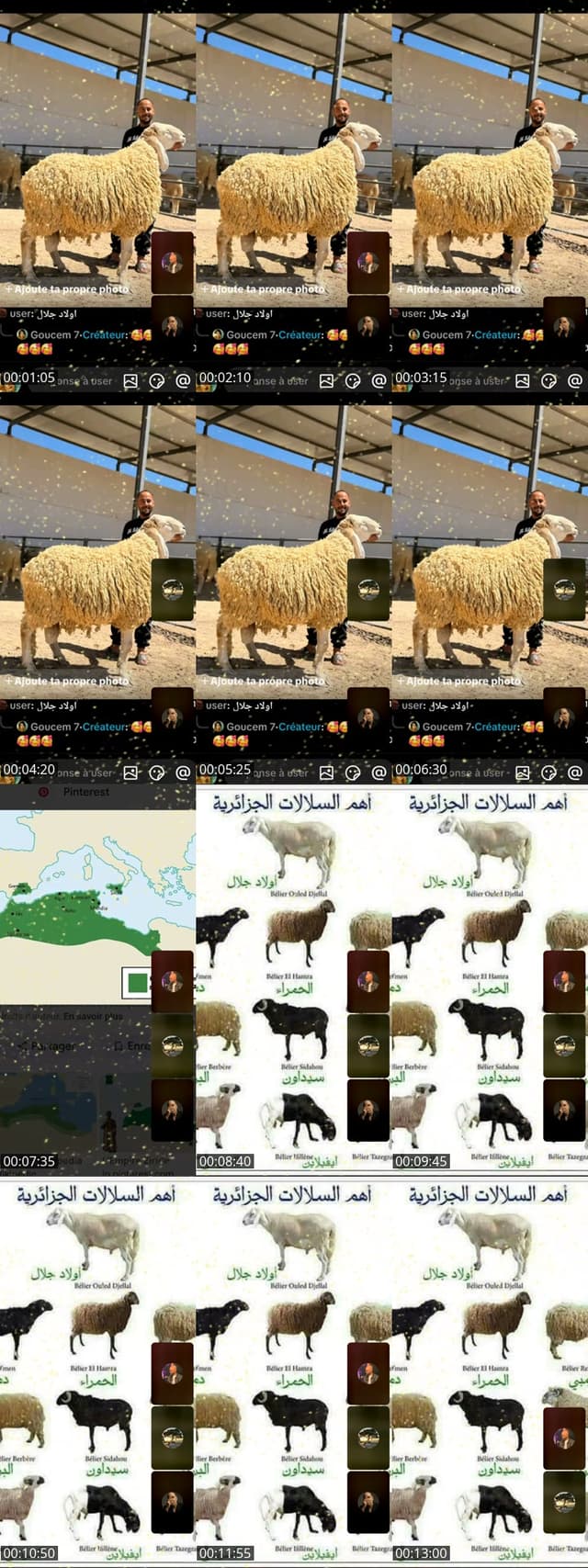 @goucem6 TikTok live from 2026-05-15