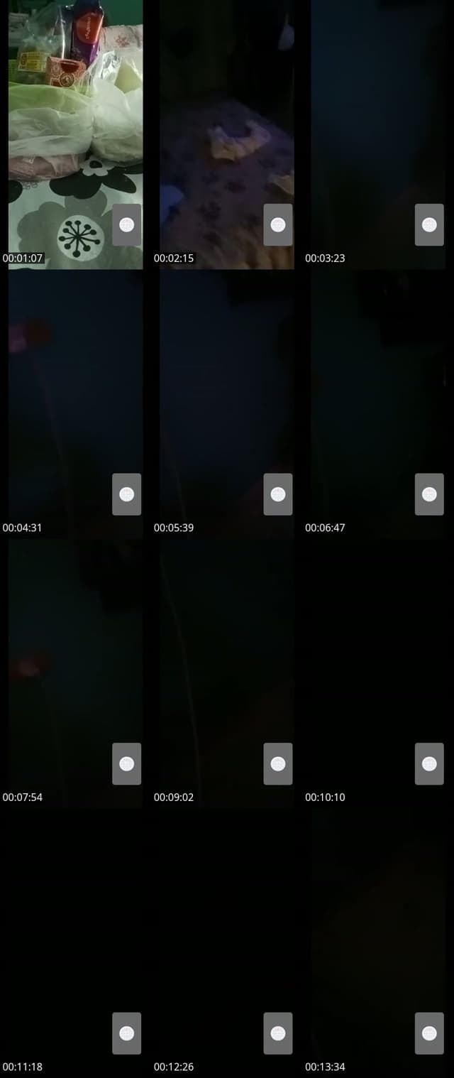 @bearbear11221 TikTok live from 2026-05-16