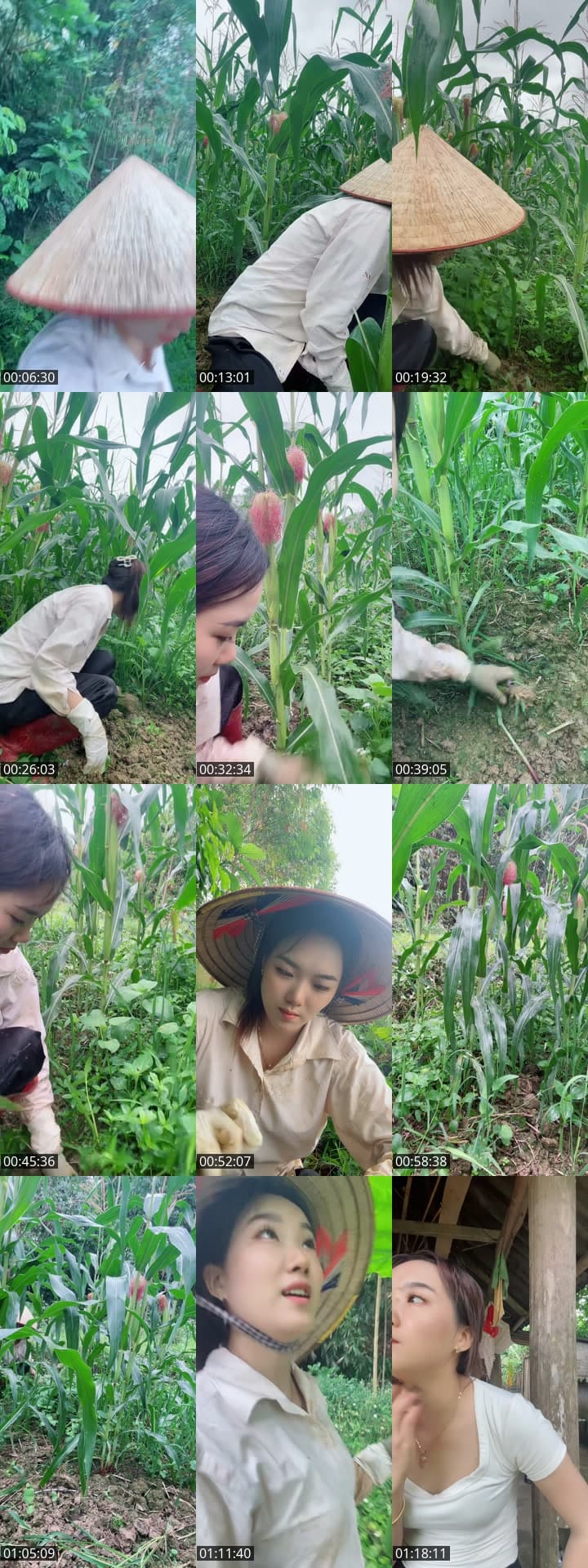 @huong_linh97 TikTok live stream