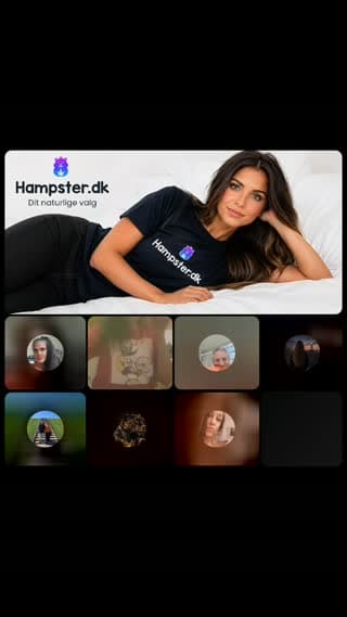 @hampsterbackup TikTok live stream