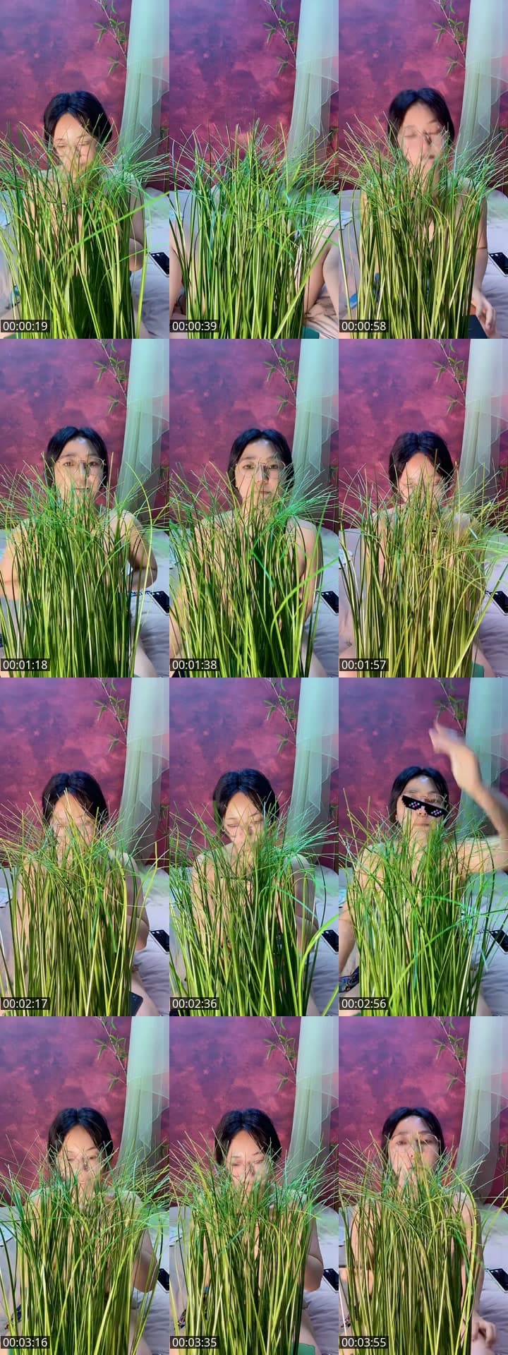 🕶️Remove the green plants🪴