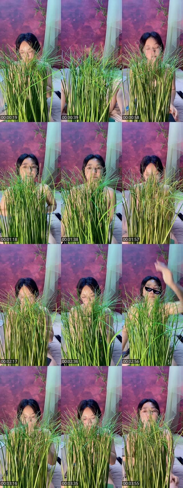 TikTok live: 🕶️Remove the green plants🪴 by @xhwaziqdoj3
