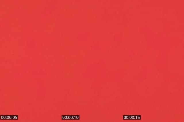 @alghoroub2 TikTok live from 2026-05-18