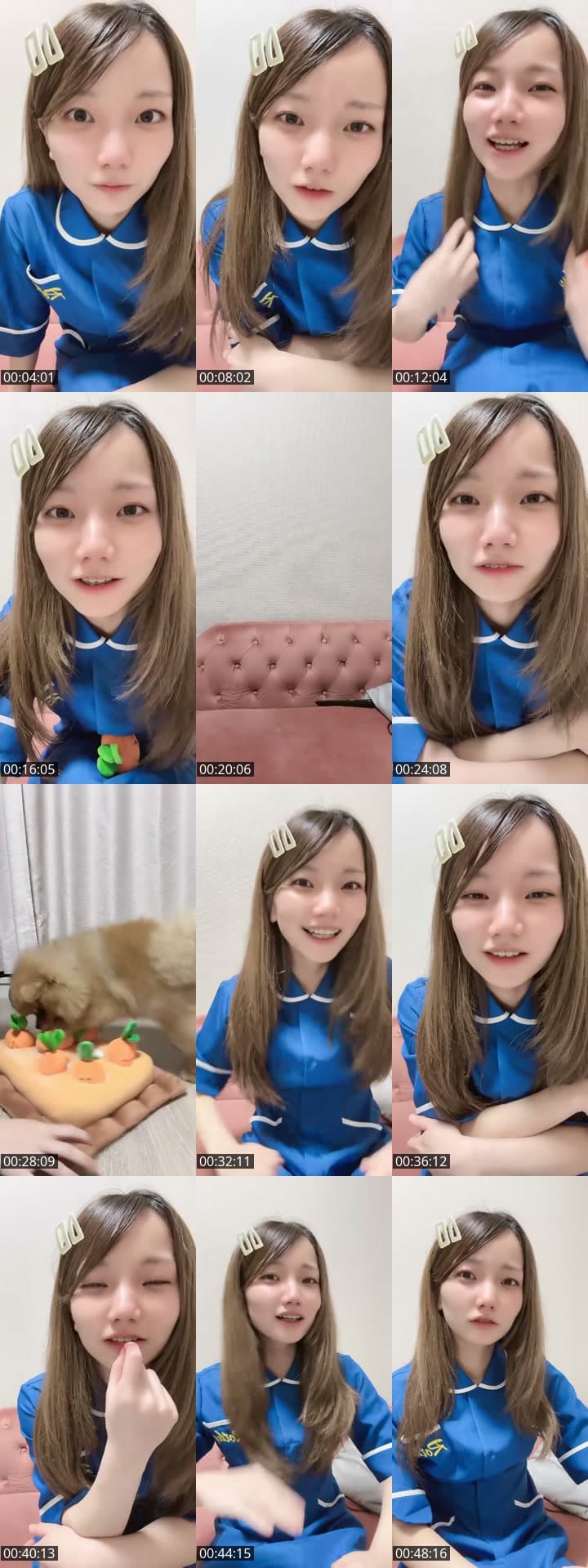 わんわん