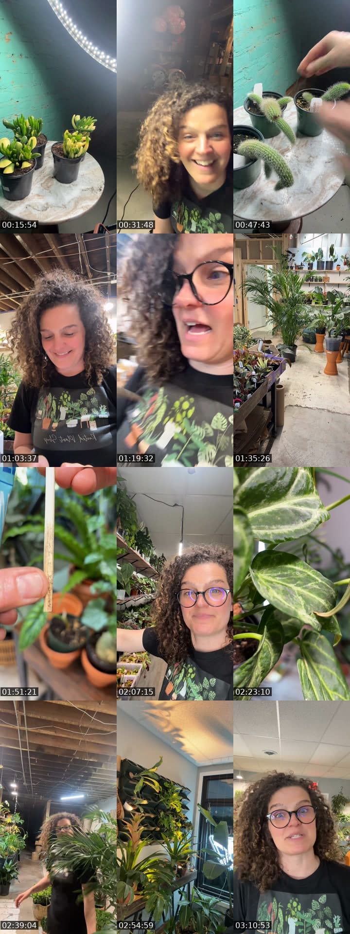 @rootedplantshop TikTok live stream