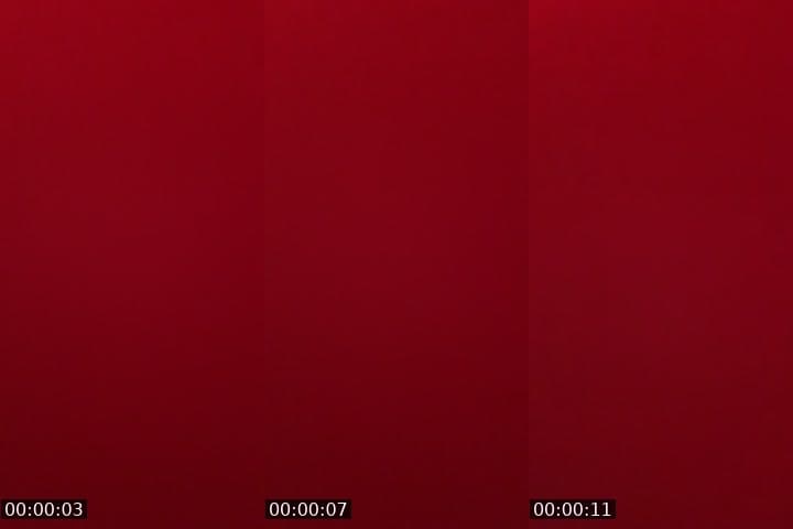 @alejandra2007..4 TikTok live stream