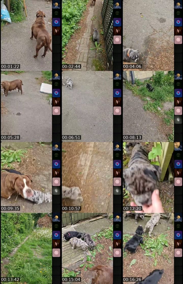 @klamme_mennesker TikTok live stream