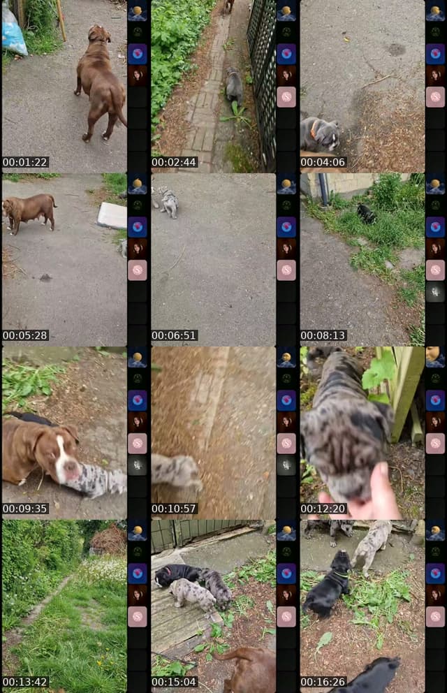 @klamme_mennesker TikTok live from 2026-05-22