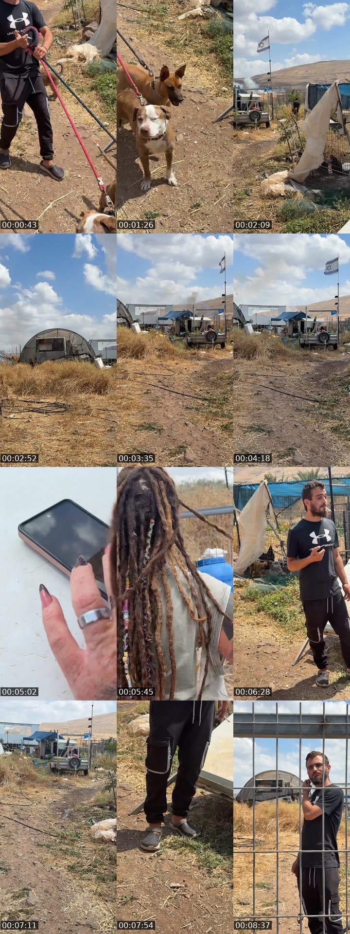 @shanti.farm.rescue TikTok live stream