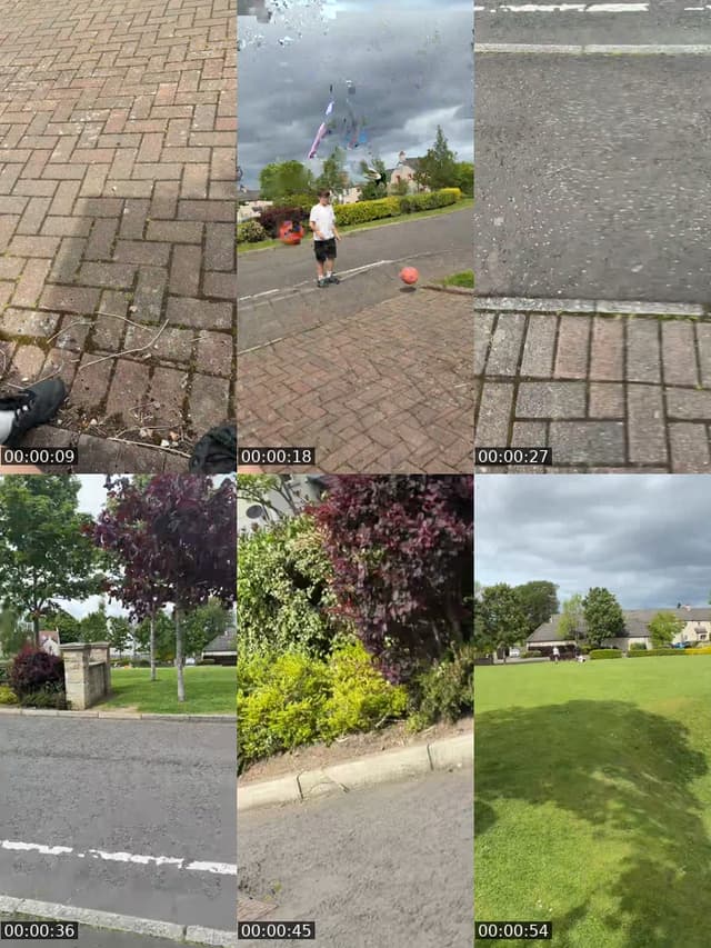 TikTok live: Please gift bro by @rugby1slife