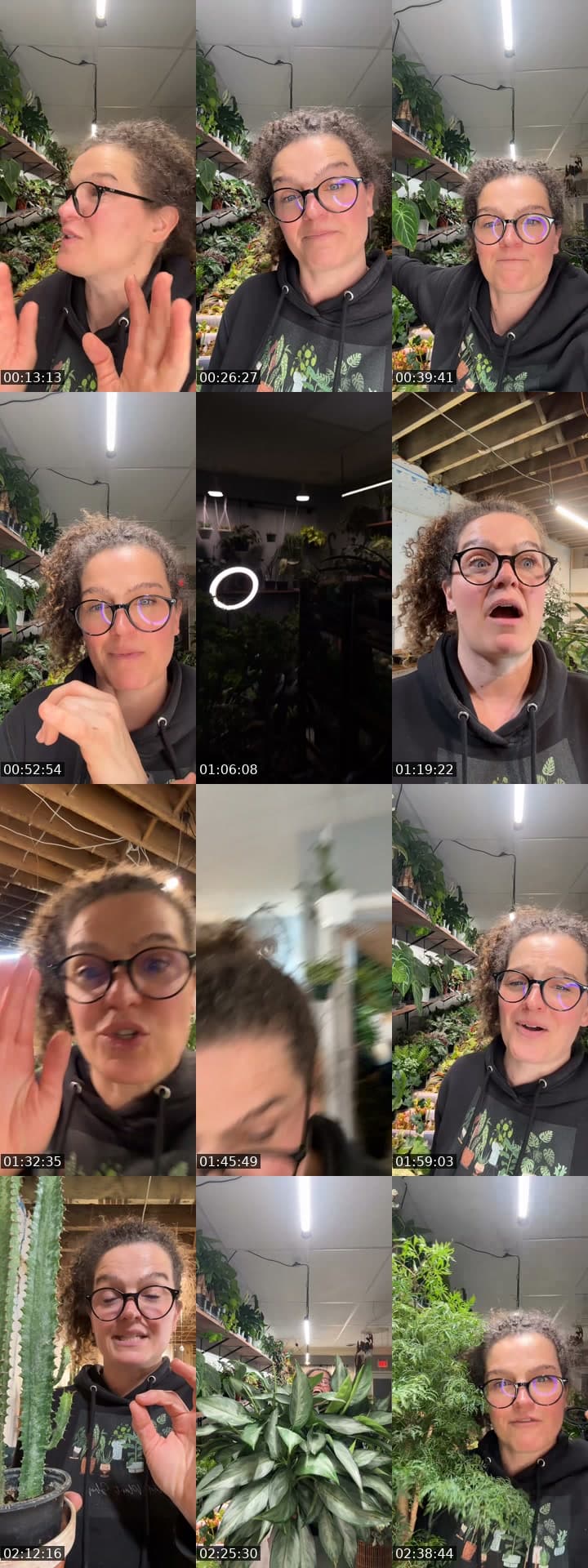 @rootedplantshop TikTok live stream