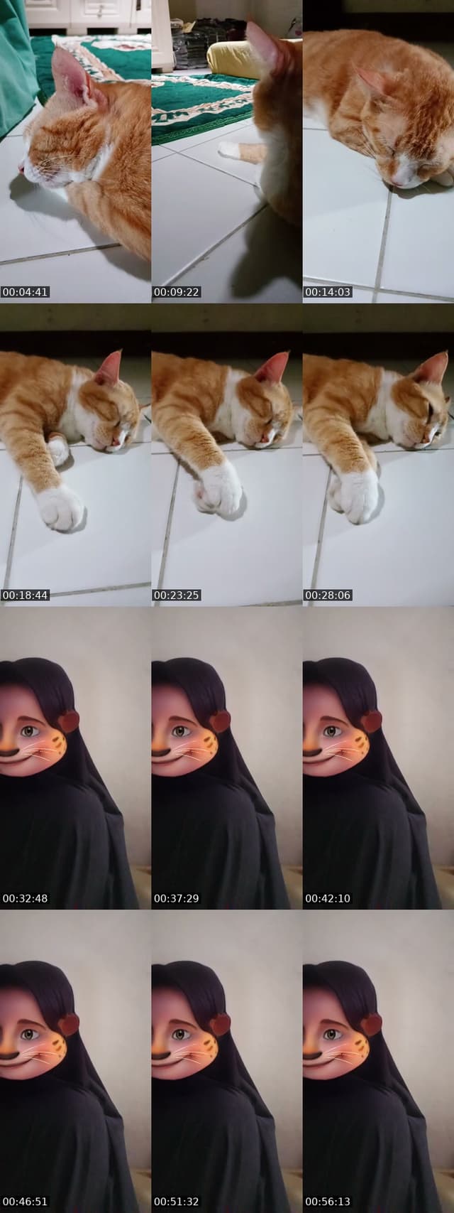 TikTok live: kucing by @millenta