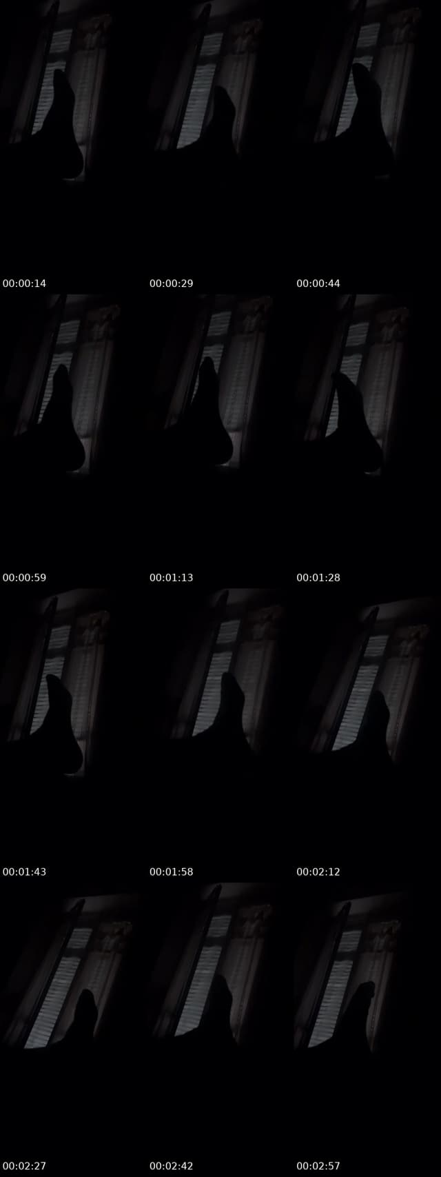 TikTok live: Nome tg: iltuovizio fatti by @caruzvagvng